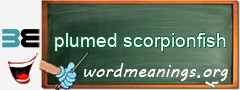 WordMeaning blackboard for plumed scorpionfish